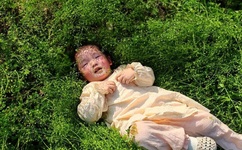 撸管专用动态图